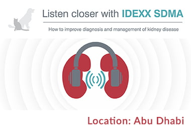 How to improve diagnosis and management of kidney disease
