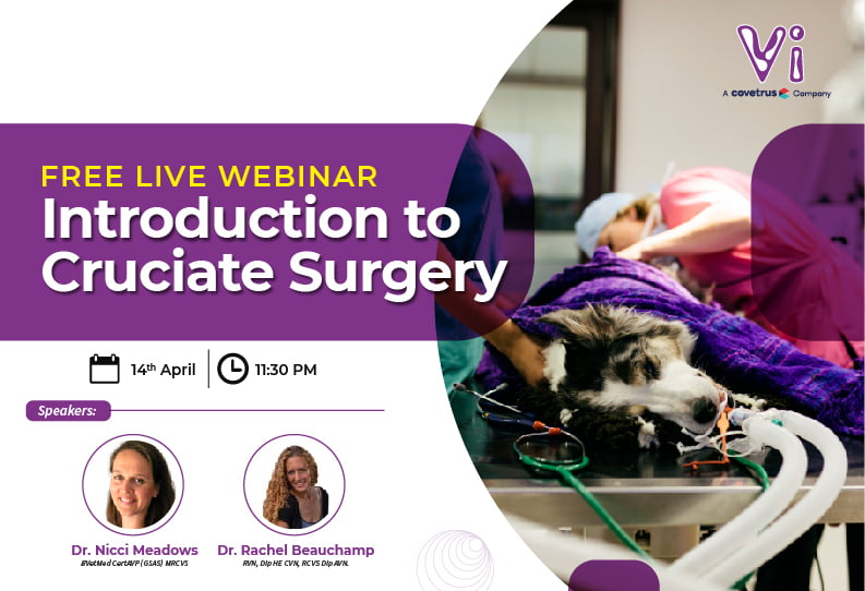 Introduction to Cruciate Surgery (Free Live Webinar)