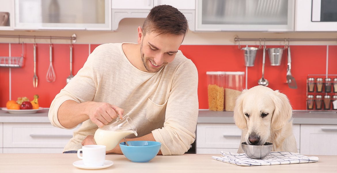 Refusing a Human Food to Dogs