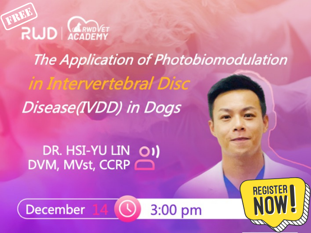 The Application of Photobiomodulation in Intervertebral Disc Disease(IVDD) in Dogs