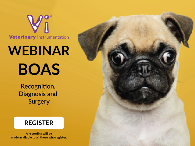 Webinar: BOAS – Recognition, Diagnosis and Surgery