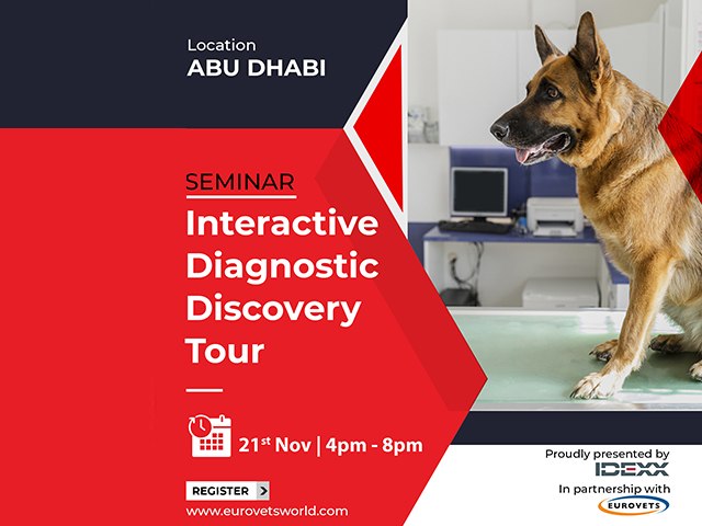 Abu Dhabi: Interactive Diagnostic Discovery Tour