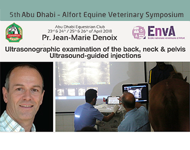 5th Abu Dhabi - Alfort Equine Veterinary Symposium