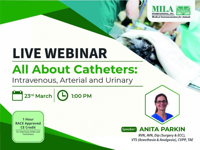 All About Catheters: Intravenous, Arterial and Urinary ( Webinar)