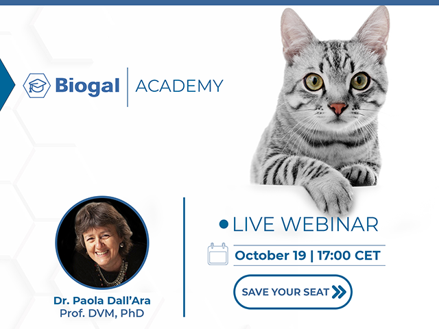 Webinar: Feline Vaccination from Kittens to Senior Cats: Tricks & Hoaxes