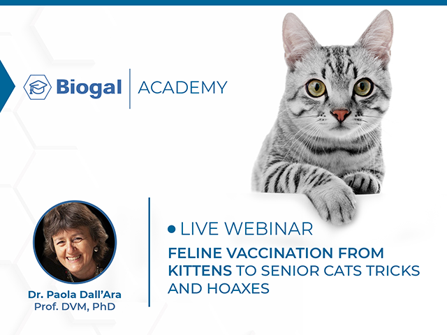 Webinar: Feline Vaccination from Kittens to Senior Cats: Tricks & Hoaxes