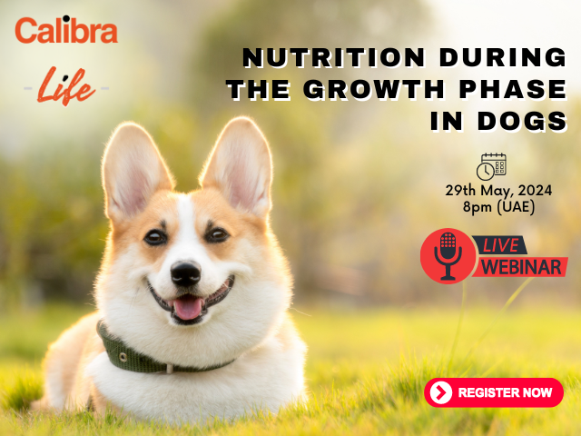 Webinar: Nutrition during the growth phase in dogs