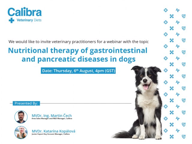 Nutritional therapy of gastrointestinal and pancreatic diseases in dogs