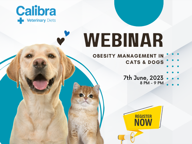 Webinar: Obesity Management in Cats & Dogs