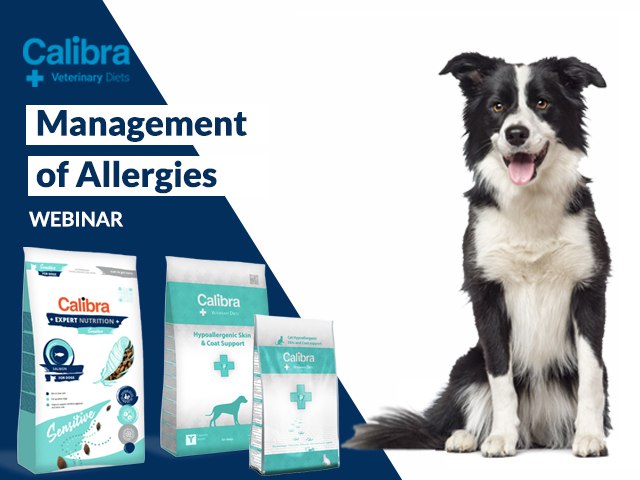 Management of Allergies