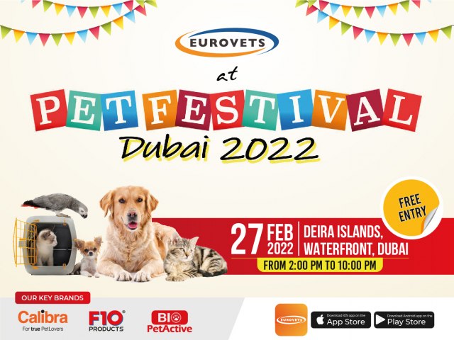 Dubai Pet Festival - 2022