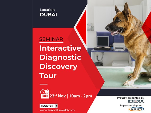 Dubai: Interactive Diagnostic Discovery Tour
