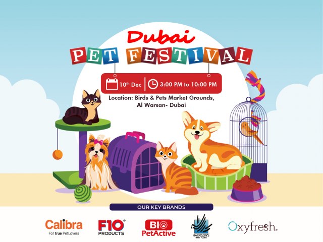 The Dubai Pet Festival 2021