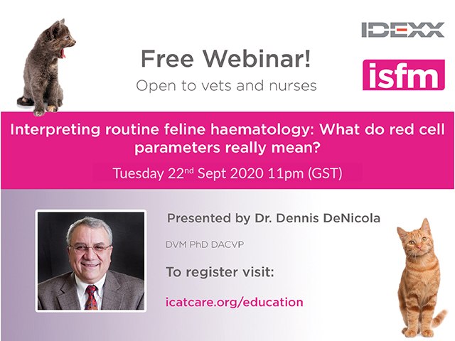 Interpreting routine feline hematology