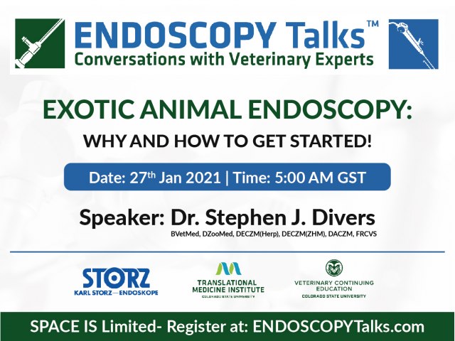 Exotic animal endoscopy: why and how to get started! - Webinar