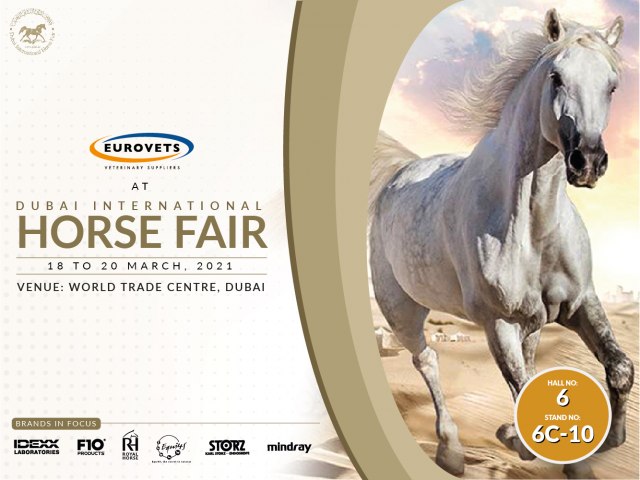 Dubai International Horse Fair 2021