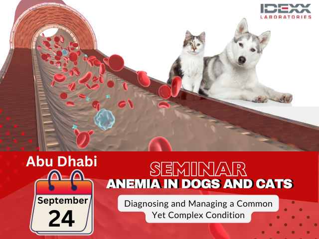 ABU DHABI- Understanding Anemia in Dogs and Cats