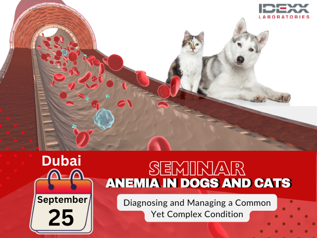 DUBAI- Understanding Anemia in Dogs and Cats