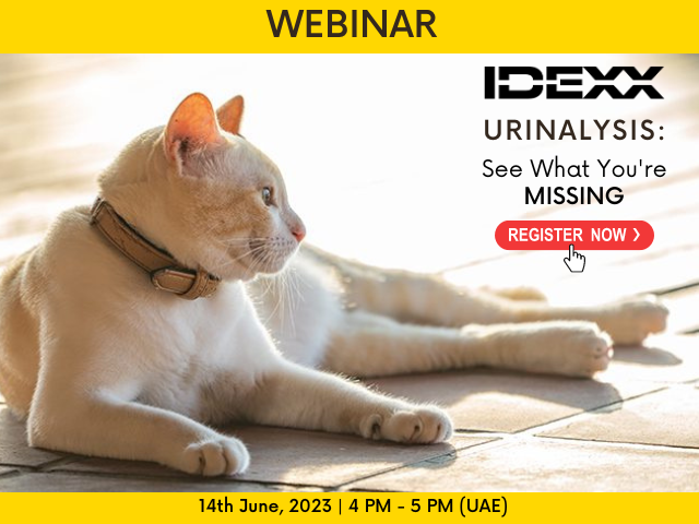 Webinar: Urinalysis: See What You’re Missing