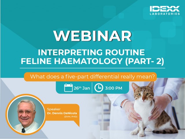Interpreting routine feline haematology (Part 2)