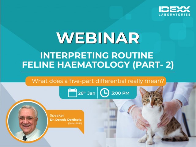 Interpreting routine feline haematology (Part 2)