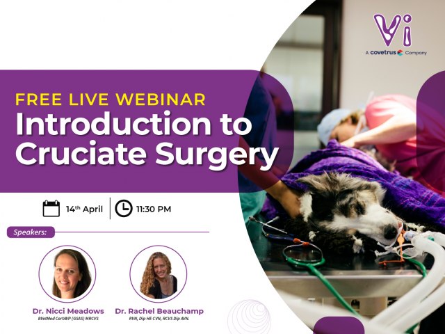Introduction to Cruciate Surgery (Free Live Webinar)