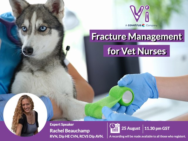 Fracture Management for Vet Nurses