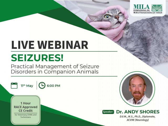 Practical Management of Seizure Disorders in Companion Animals - Webinar