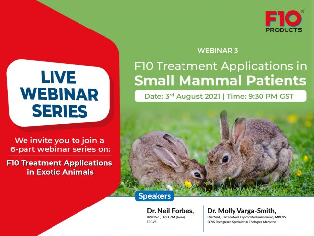 F10 Treatment Applications in Small Mammal Patients - Webinar