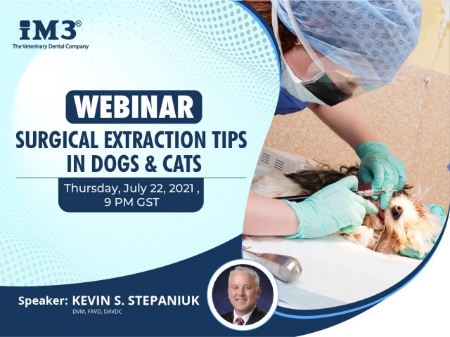 Surgical Extraction Tips in Dogs & Cats - Webinar