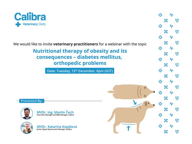 Nutritional therapy of obesity and its consequences