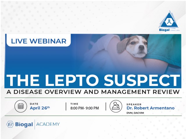 The lepto suspect: a disease overview and management review