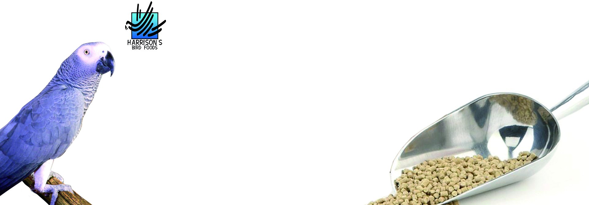 Harrison s Bird Food Dubai High Potency Coarse Bird Foods Eurovets Veterinary Suppliers Harrison s Bird Food Dubai High Potency Coarse Bird Foods Eurovets Veterinary Suppliers