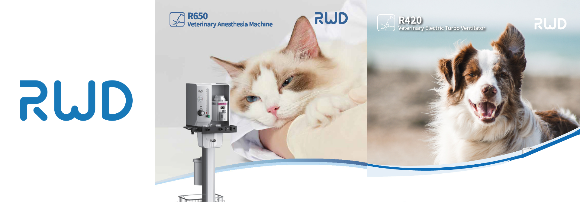 RWD Life Science