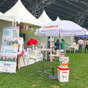 Abu Dhabi Pet Festival 2019