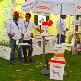 Abu Dhabi Pet Festival 2019