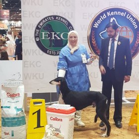 Abu Dhabi International Hunting & Equestrian Exhibition ADIHEX 2019