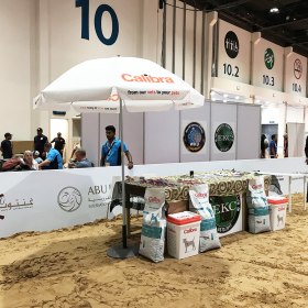 ADIHEX 2019