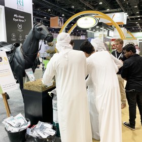 ADIHEX 2019