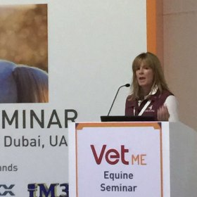 Full Day Equine Seminar @ VetME 2017