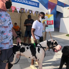 Dubai Pet Festival - 2022