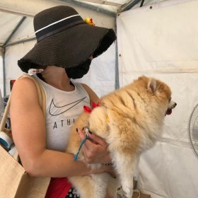 Dubai Pet Festival - 2022