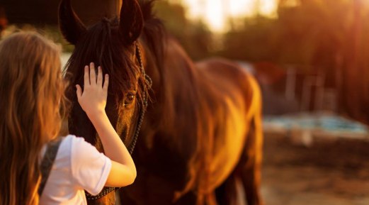 The Basic Fundamentals of Feeding Horses