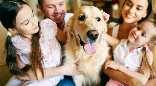 Biosecurity Tips for Surviving Summer at Home with Your Pets