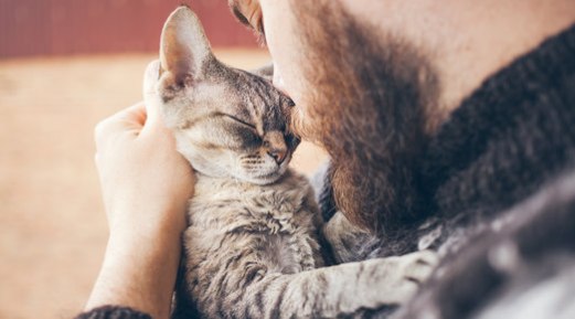 How Old Is My Cat in Human Years? How Old Is My Cat in Human Years?