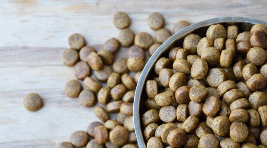 Diet for Canines With CKD Diet for Canines With CKD