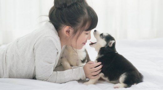 Easy Dog Bad Breath Remedy Easy Dog Bad Breath Remedy