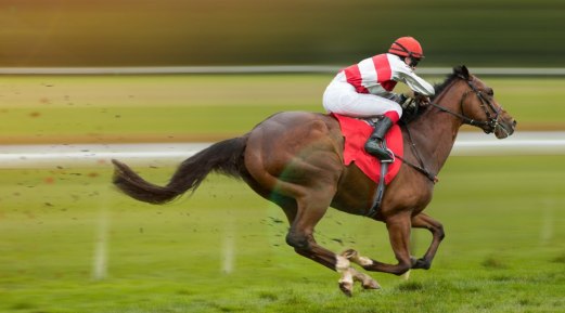 Fueling Champions: Optimal Feeding Strategies for Racing Horses Fueling Champions: Optimal Feeding Strategies for Racing Horses