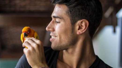 How to Choose the Right Diet for your Pet Bird How to Choose the Right Diet for your Pet Bird