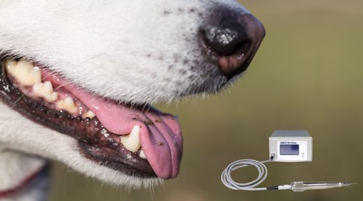 The Vet-Tome, a major advancement in tooth extraction brought to you by iM3